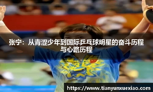 张宁:从青涩少年到国际乒乓球明星的奋斗历程与心路历程